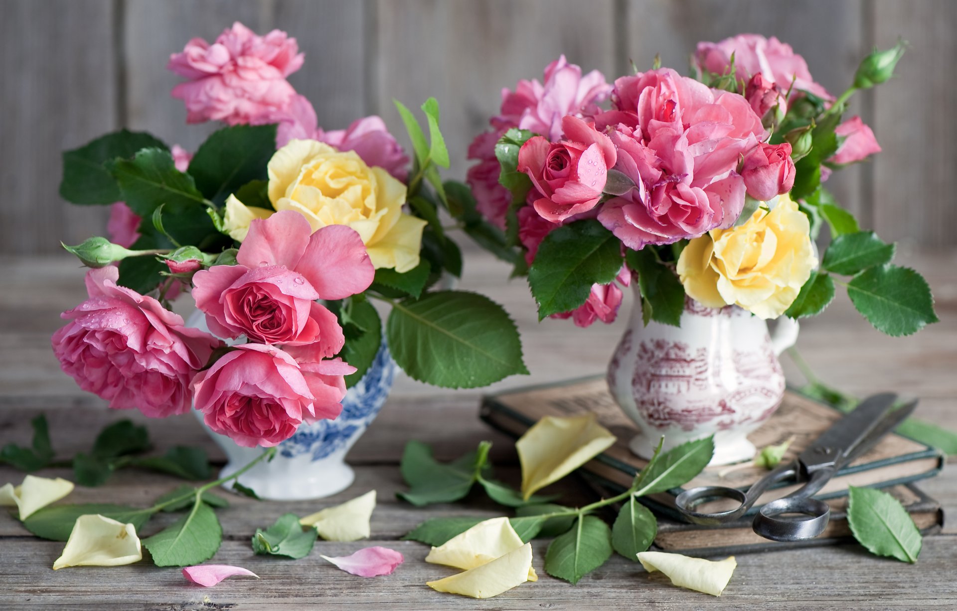 flower roses book scissor