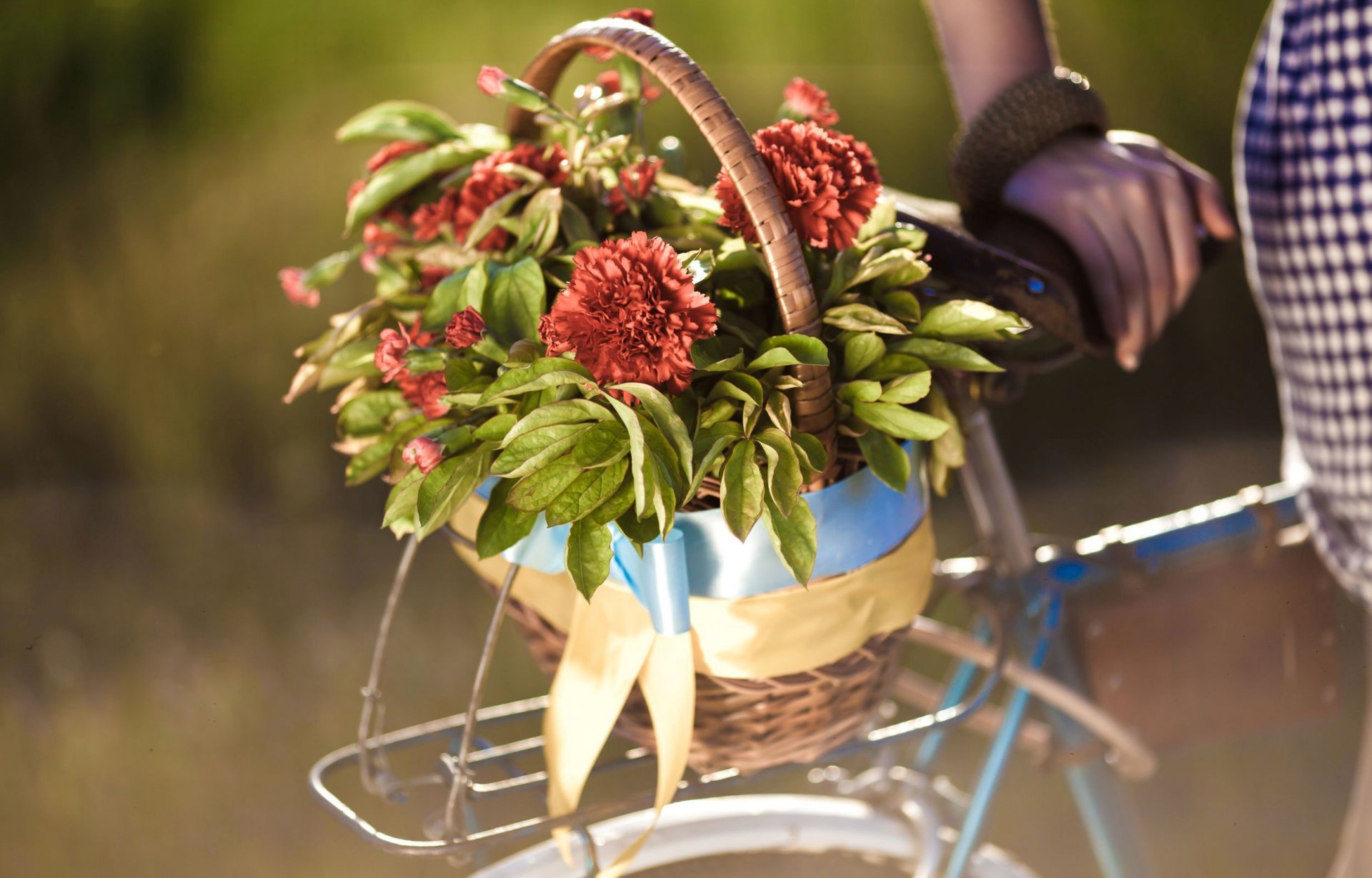 fleurs fleurs fleur panier vélo feuilles main fille flou fond papier peint écran large plein écran écran large écran large