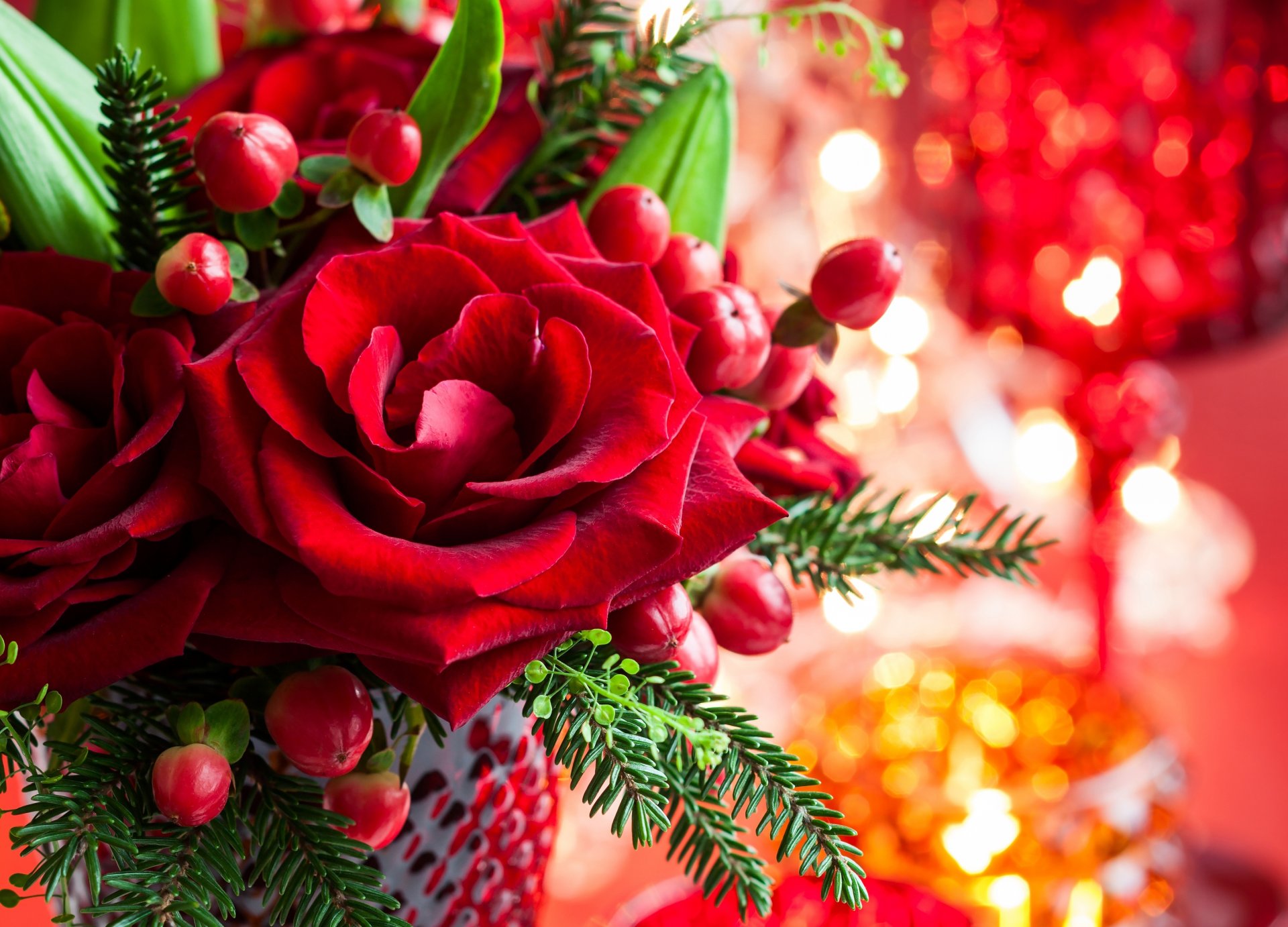 rosas rojo flor flores brote pétalos hojas florero ramas abeto vacaciones bokeh año nuevo navidad