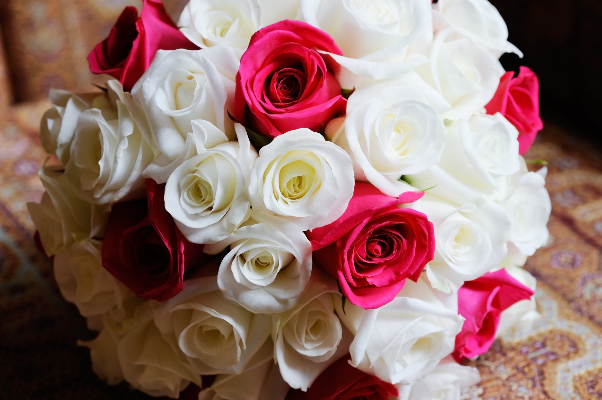 roses blanc rose bouquet fleurs