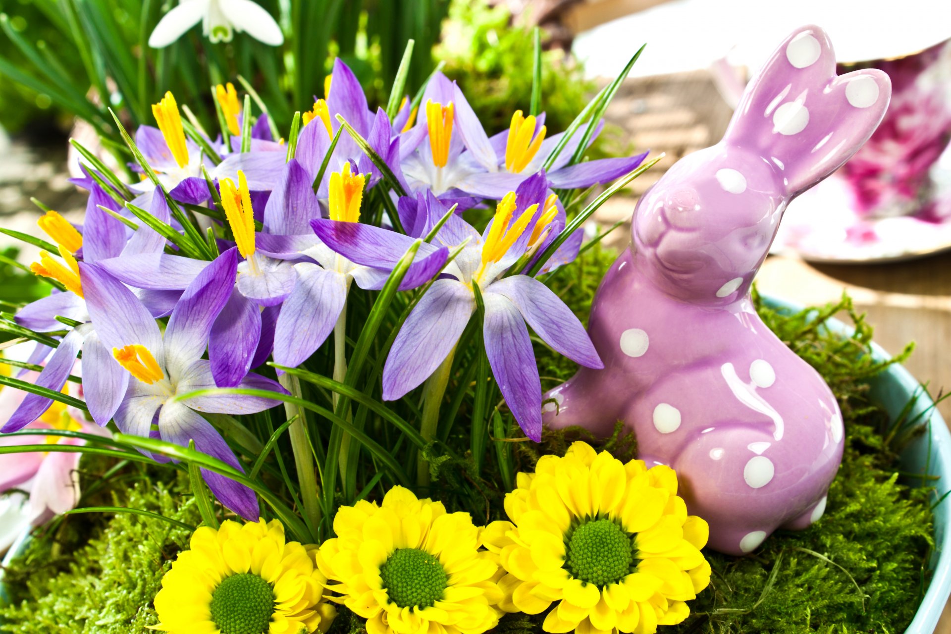 fleurs jaune crocus violet lapin statuette printemps vacances pâques