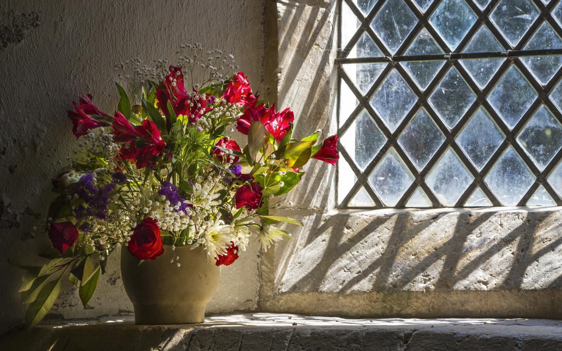 fleurs fenêtre fond