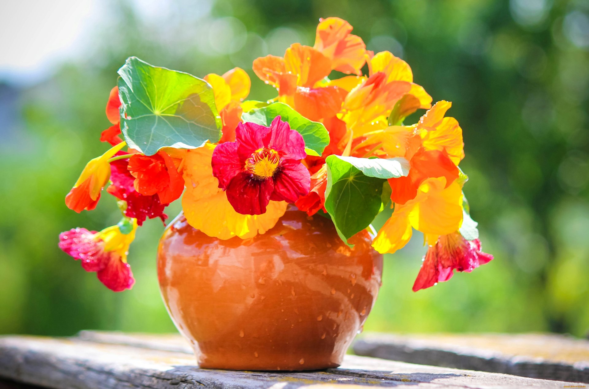 bouquet pot petal