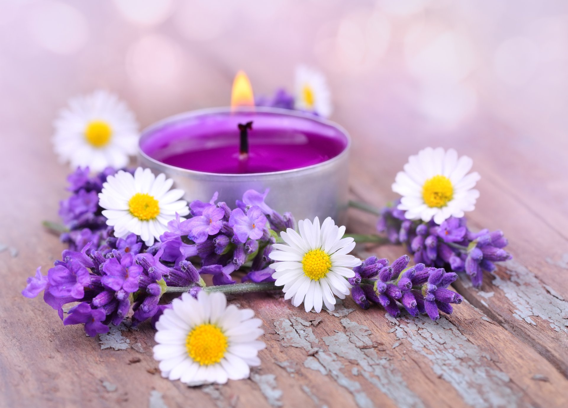 blumen kerzen lavendel blütenblätter