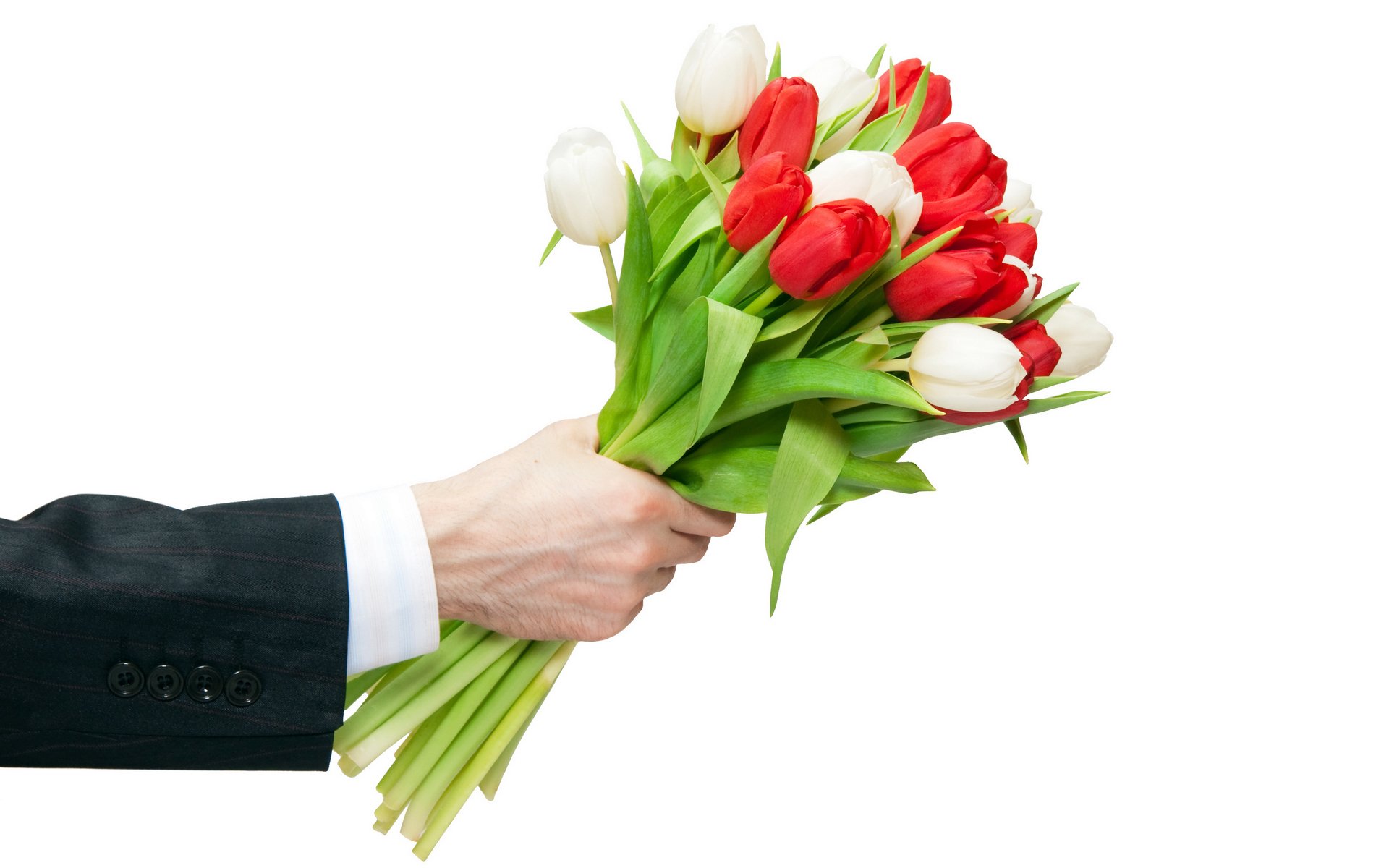 white background hand bouquet tulips flower mood