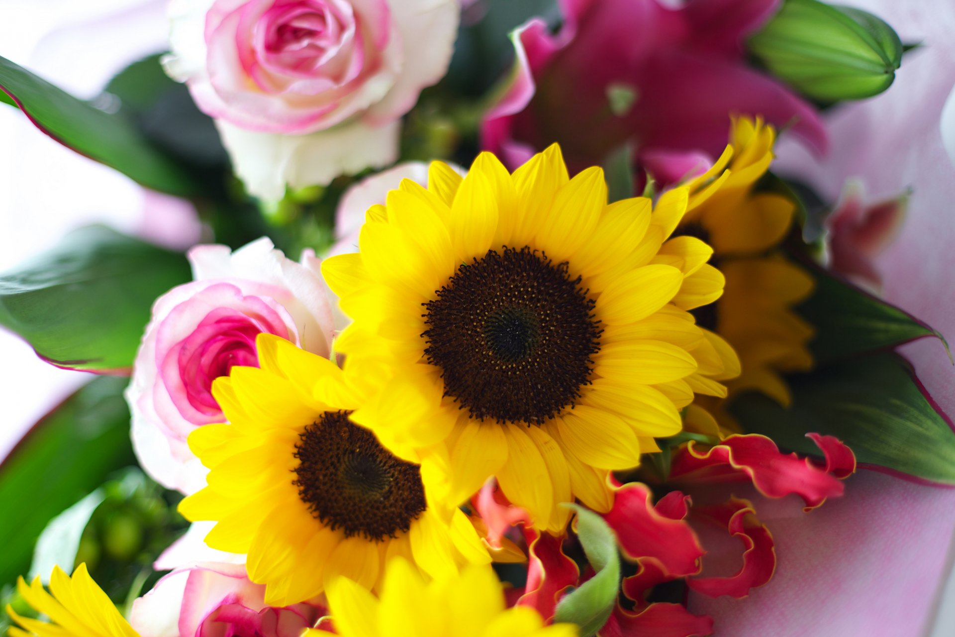 bouquet flower sunflowers yellow roses pink petals leave