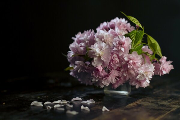 Bouquet of pink flowers on a dark background