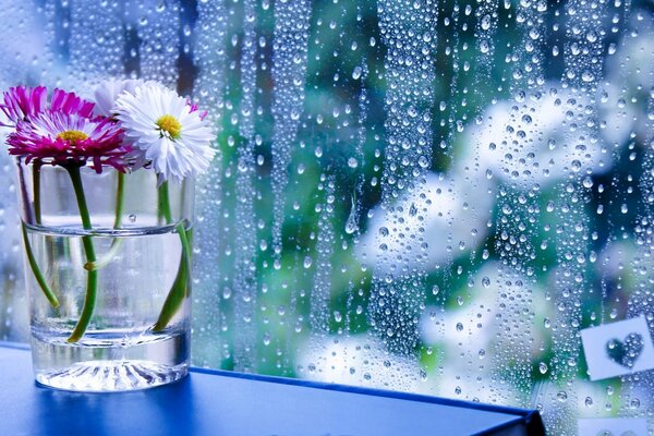 Blumen in einem Glas auf einem Tisch in der Nähe von Onka