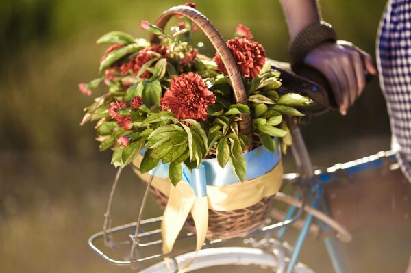 Fleurs de fond plein écran