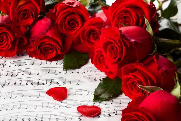 Red roses with notes