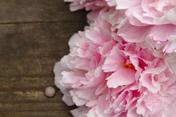 Цветы розовые пионы на столе