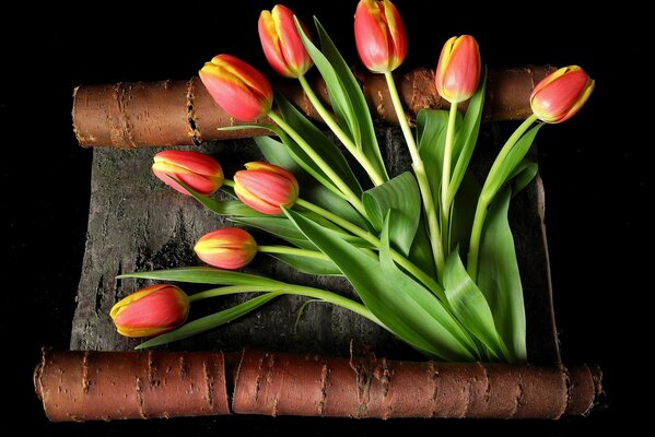 Bouquet of red tulips on birch bark