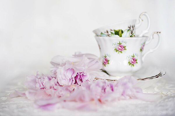 Rosa Blüten neben Tassen in Untertassen