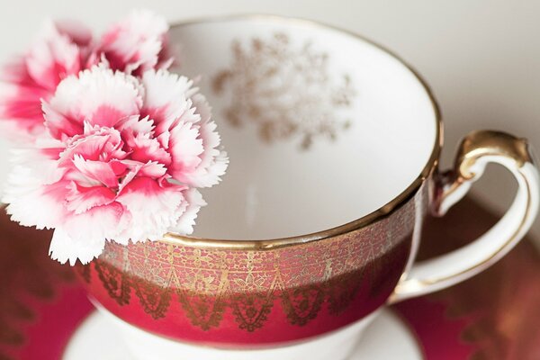 Rosa Nelke am Rand der Tasse mit Ornament