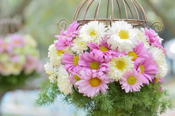 Blumenstrauß aus weißrosa Chrysanthemen und Korb