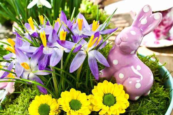 Irises in a bouquet with a pink bunny