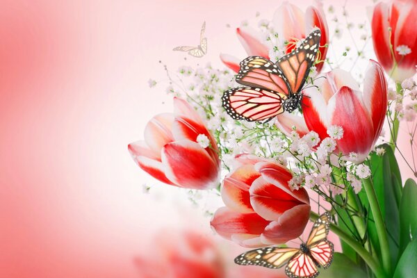 A butterfly sits on a bouquet of tulips