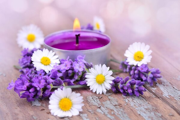 Vela de té de color púrpura y flores de lavanda y manzanilla en la mesa