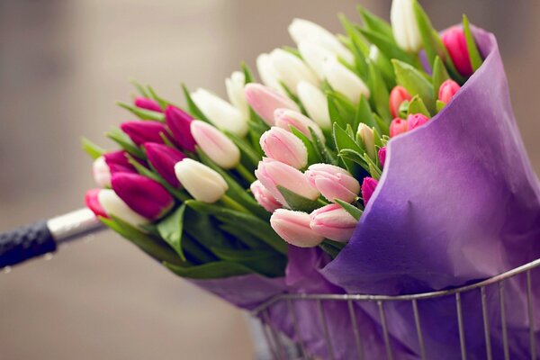 Lieferung der Blumen mit dem Fahrrad Meer von Tulpen