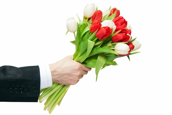 Bouquet de tulipes sur fond blanc