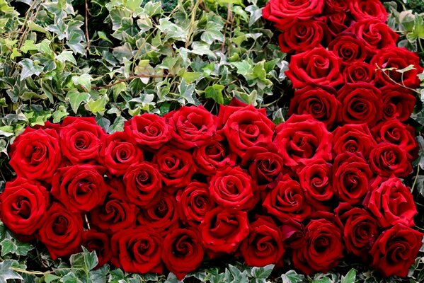 A large bouquet of red roses