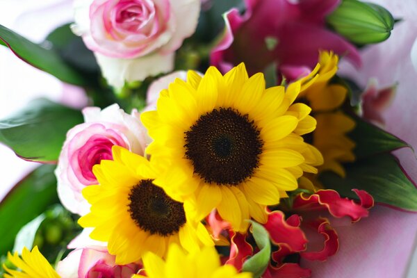 Hermoso ramo de girasoles amarillos y rosas