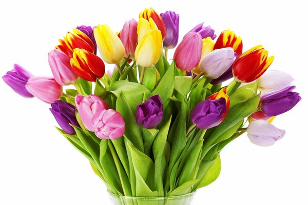 A bright bouquet of colorful tulips