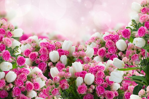 White and pink composition of roses and tulips