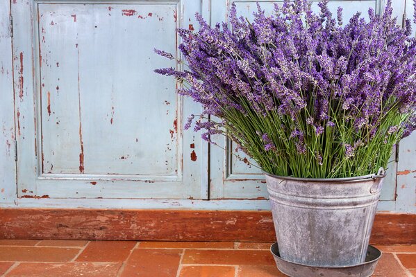 Still life with lavender in purple tones