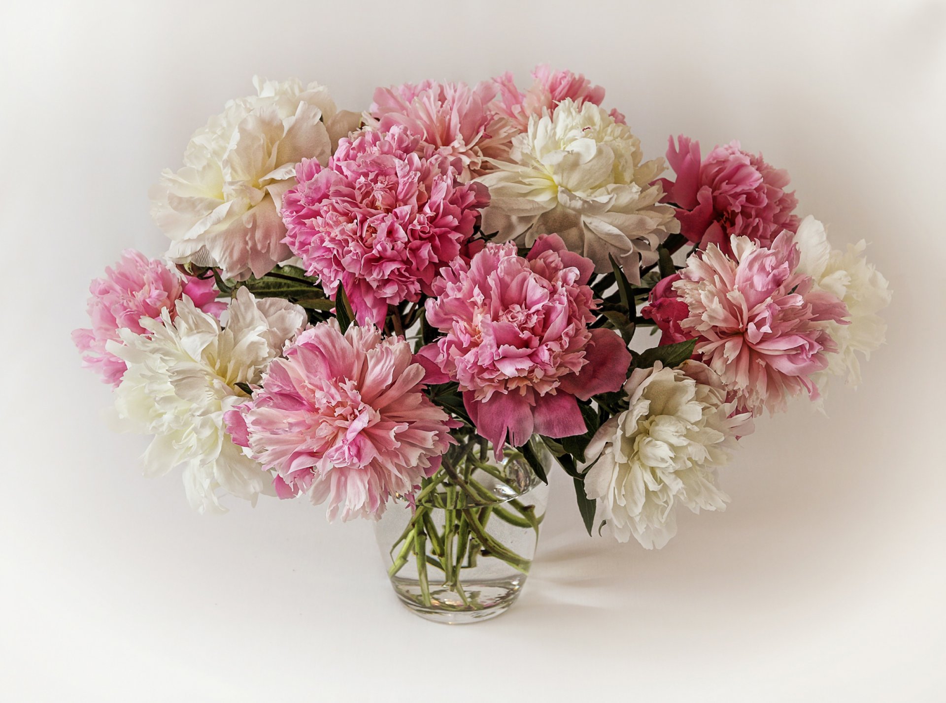 bouquet peonies background