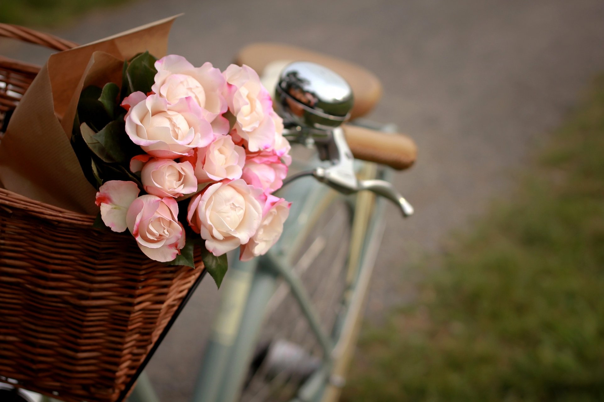 rosas flores rosa blanco paquete cesta bicicleta