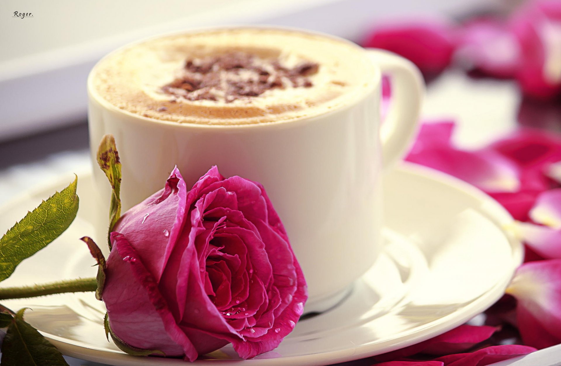 flower rose pink cup mug cappuccino