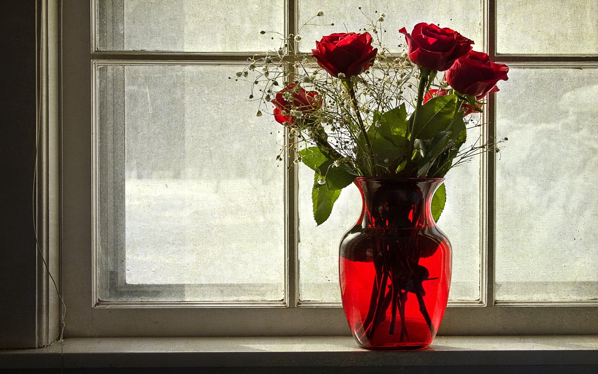 fenêtre hiver vase fleurs roses