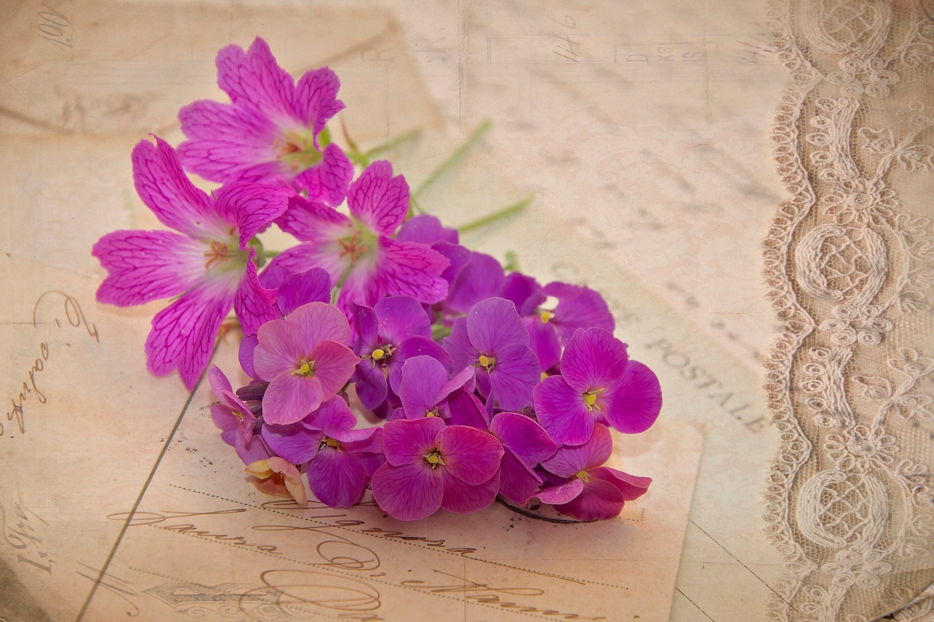 geranium flower purple cards a letter vintage