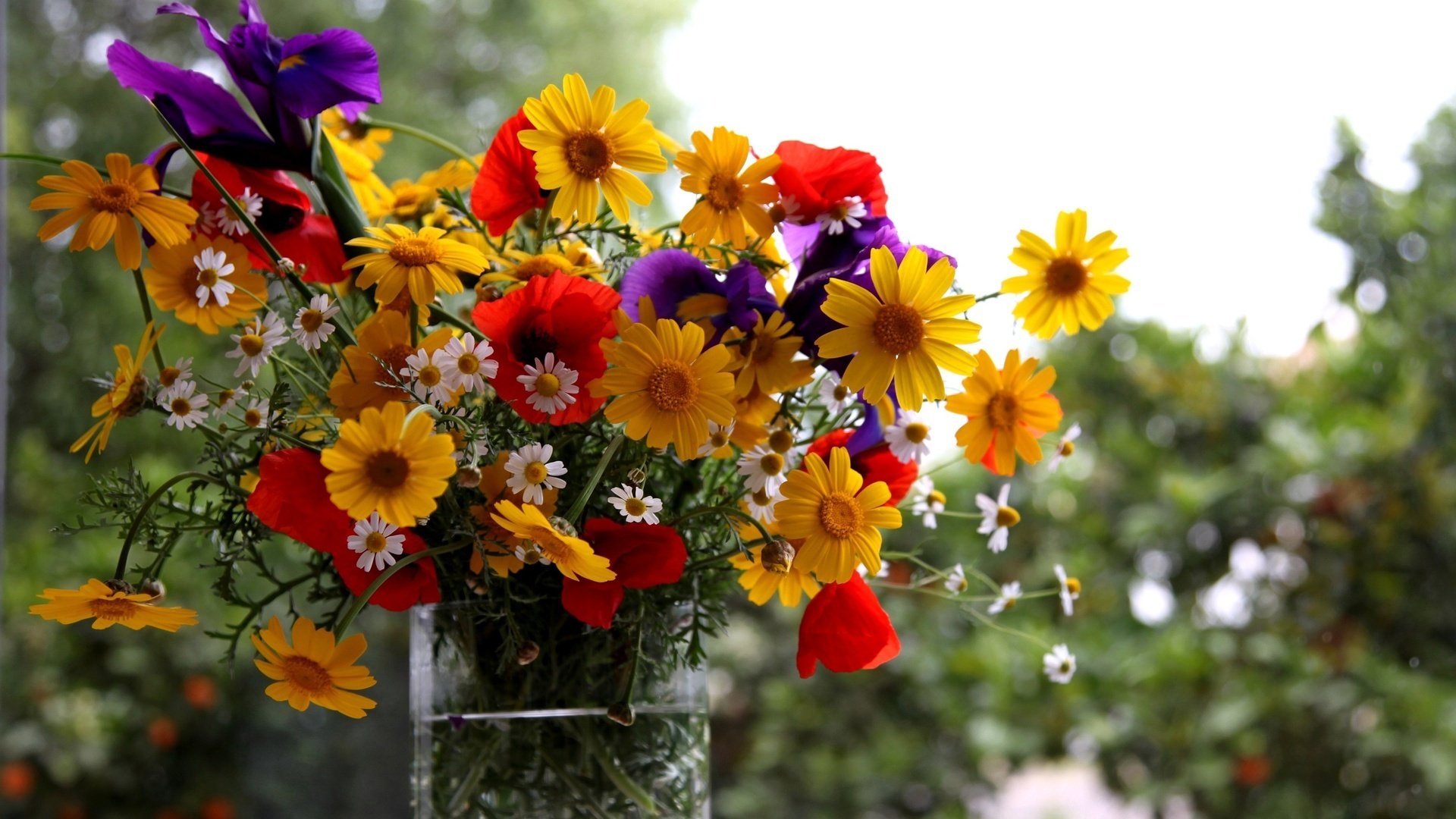 estate vaso fiori bouquet