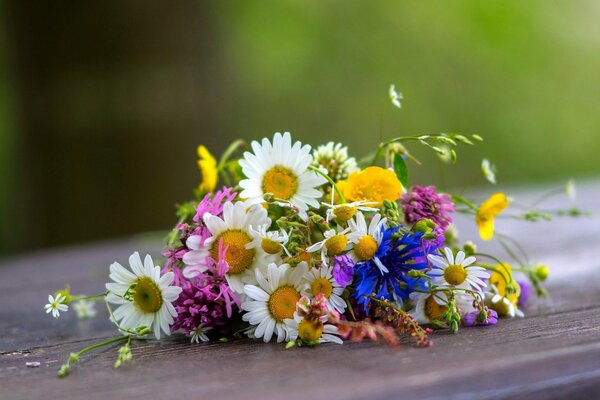 Ein unprätentiöser Strauß Wildblumen