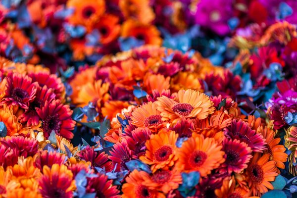 Bright orange and red bouquets