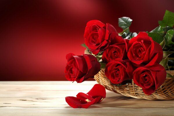 Rose flowers symbolize love