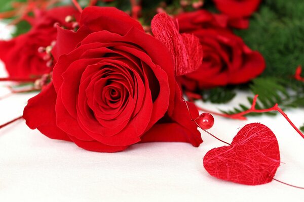 Rose rouge avec coeur