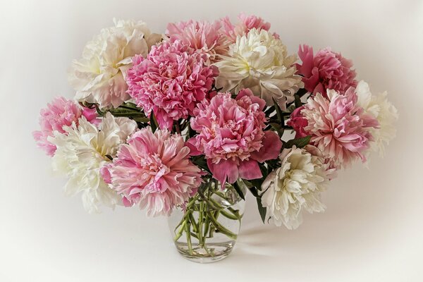 Bouquet di peonie bianche e rosa in vaso