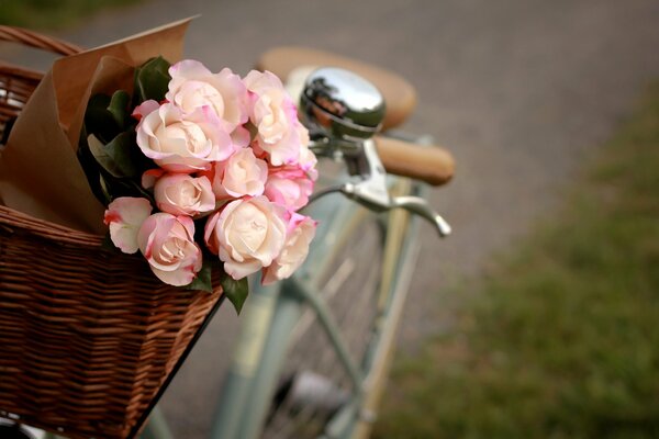 Rosas Bodegón cesta bicicleta