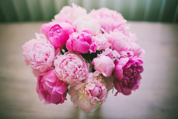 Beautiful pink bouquet of peonies on the table