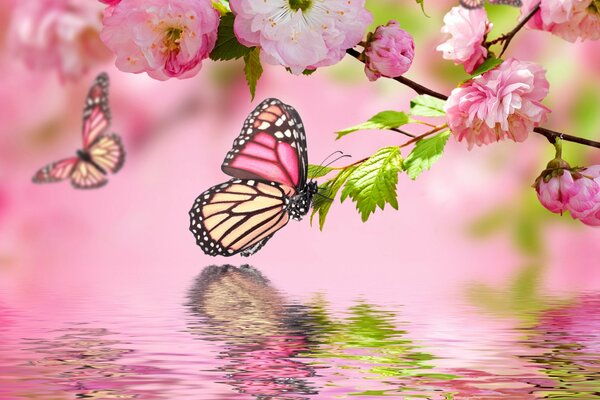 Pink flowers and butterflies are reflected in the water. This is the kind of spring that awaits us