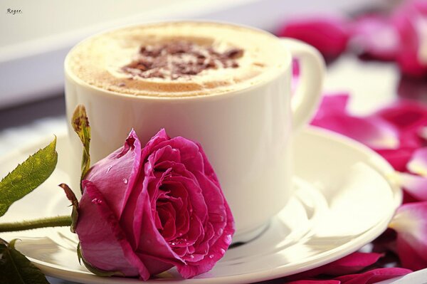 Rosa con una taza de capuchino romance