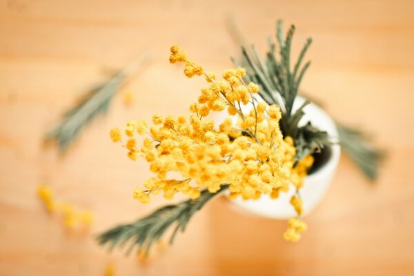 Yellow mimosa branch in a vase on the table