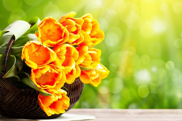 Bouquet of yellow corrugated tulips in a basket