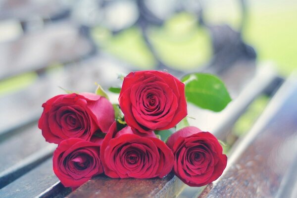 Ein Blumenstrauß aus fünf roten Rosen liegt vergessen auf einer Holzbank