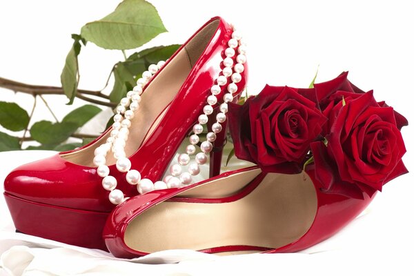 Red Roses behind sexy shoes with necklace