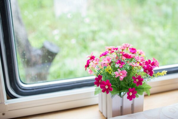 Pink daisies in a vase on the windowsill