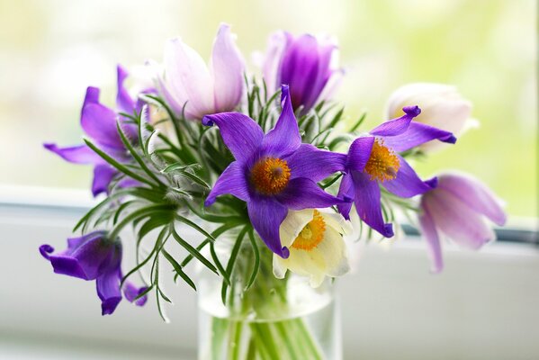 The first spring flowers in a jar